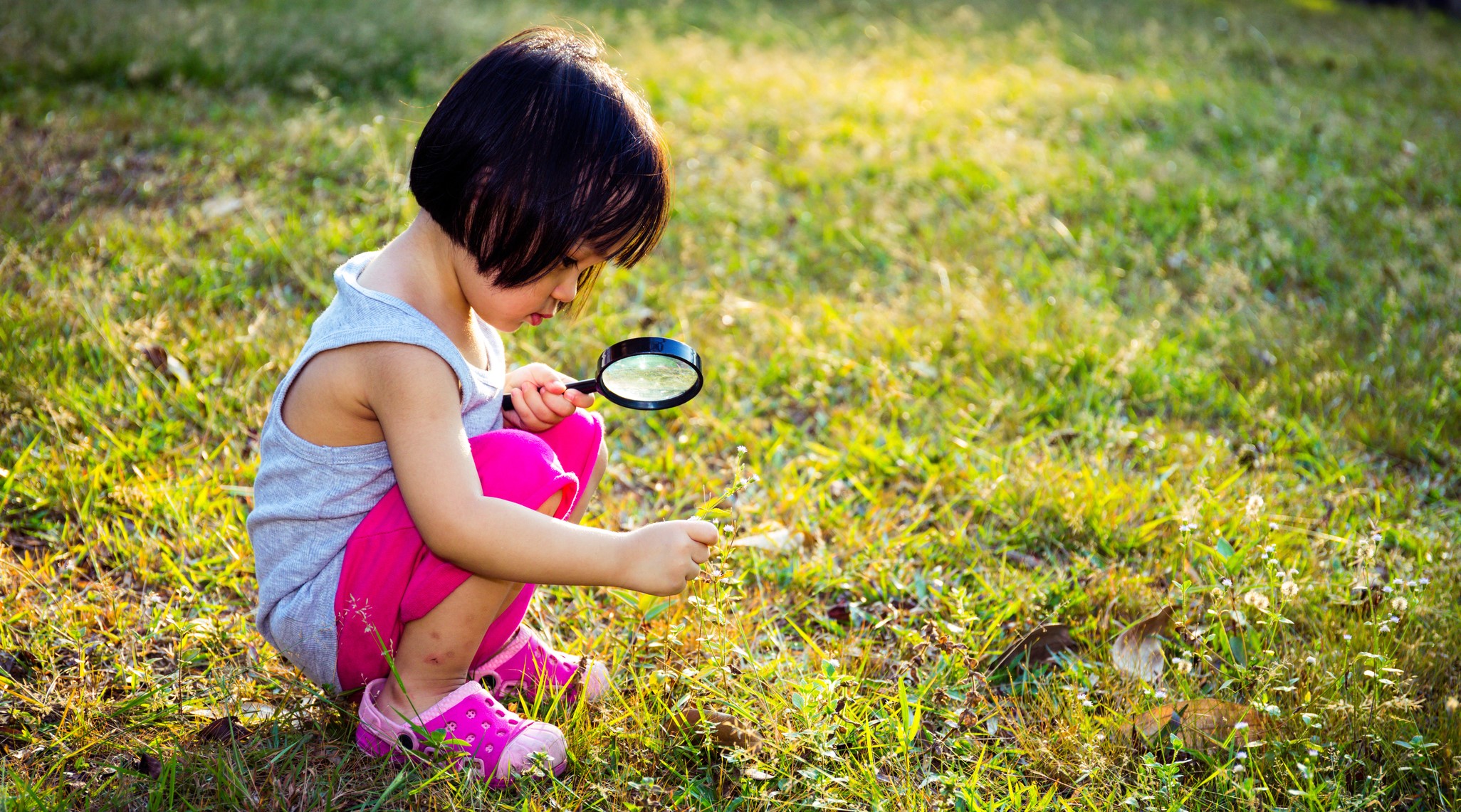 Outdoor Learning Environment