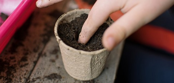 Natural Materials (Example C)